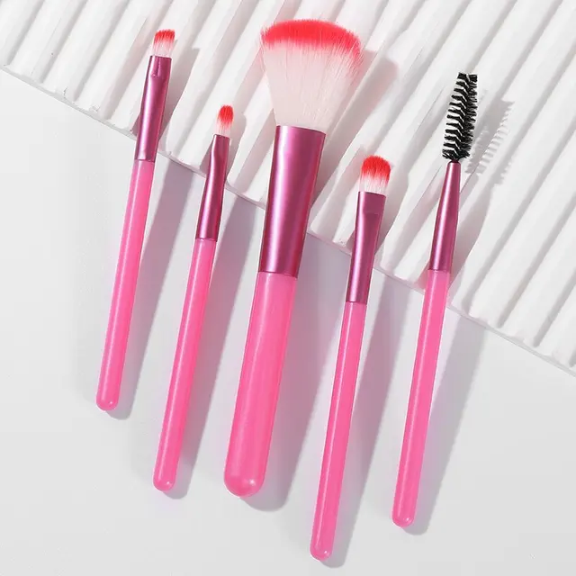 Travel makeup Brush set 5 pcs popular eye shadow beauty mini makeup tools cosmetics set