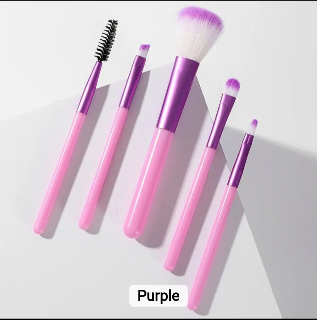 Travel makeup Brush set 5 pcs popular eye shadow beauty mini makeup tools cosmetics set