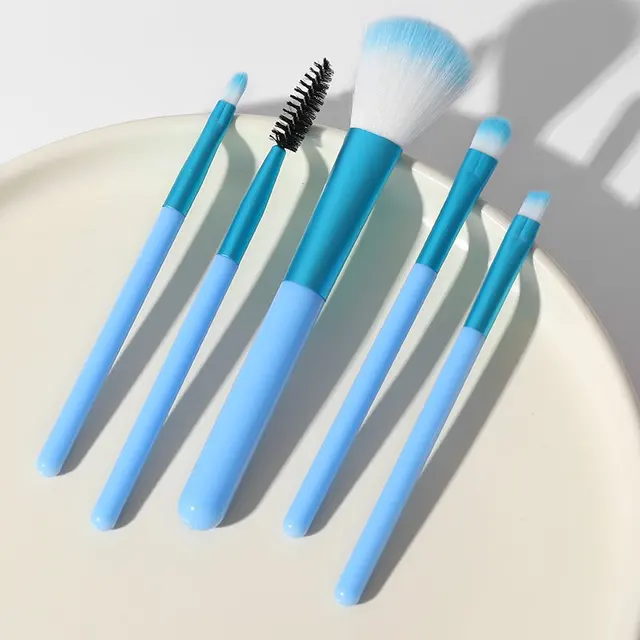 Travel makeup Brush set 5 pcs popular eye shadow beauty mini makeup tools cosmetics set